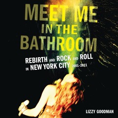 MEET ME IN THE BATHROOM by Lizzy Goodman