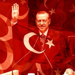 Waarom is de stemverhouding ja/nee voor Erdogan in Democratische landen meer uitgesproken ja?