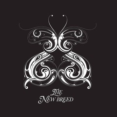 The New Breed - Soul Train