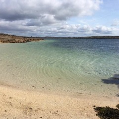 Níl Mé Marbh Roisin Seoighe