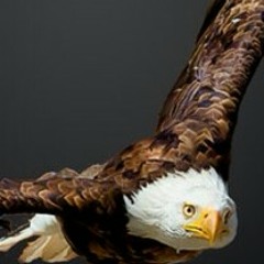 دعاء د. عبلة الكحلاوى لجبر كسر القلوب