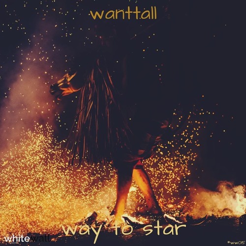 Wanttall - Way To Star