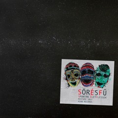 Sör És Fű - Spontán ÉletFlessek (Mixtape)