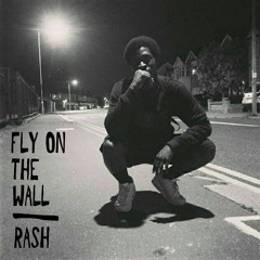 Fly On The Wall