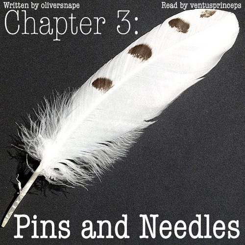 The Definition of Home Chapter 3: Pins and Needles