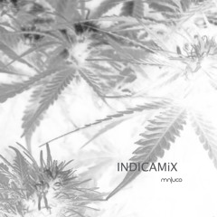 INDICAMiX (Vinyl Only)