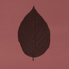 grown [x F@B]