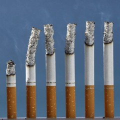 mix 1 gang shit bloody shit