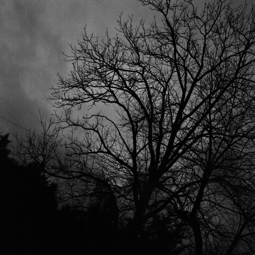 isolation