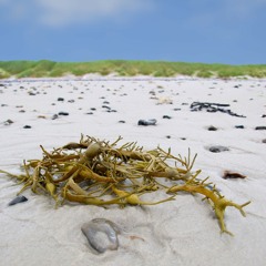 Tuesday (original song) (demo)