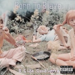 Born To Blaze
