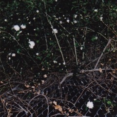 it's2amwakethefuckup.