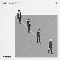 Winner - Fool