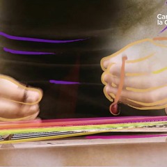 Kuzey (original song from incesaz)