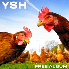 YSH