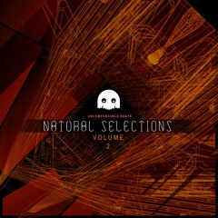 U-Wish - Vanishing Point [Natural Selections Vol.2 / Out Now]