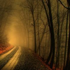 Indie / Electro / Downtempo / Alternative / ............