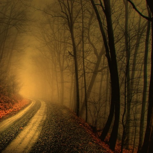 Indie / Electro / Downtempo / Alternative / ............