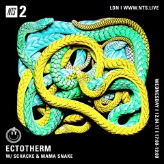 NTS Radio x Ectotherm 12.04.17 Mama Snake
