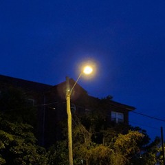 Stumbling Slowly Through Tedium