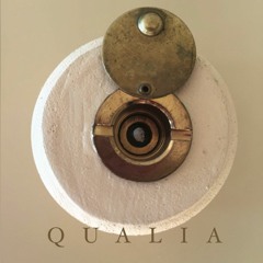 QUALIA de Charo Calvo