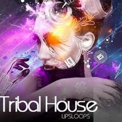 Tribal House