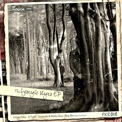 Lysergide - Ginger Pubez