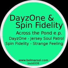 Spin Fidelity - Strange Feeling