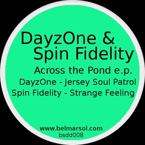 Spin Fidelity - Strange Feeling