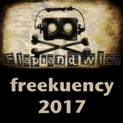 Flapsandwich @ Funky Beatz, Freekuency Festival, Portugal 2017