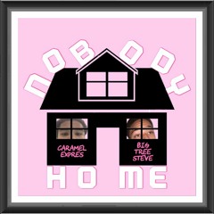 NOBODY HOME FT. BIGTREESTEVE