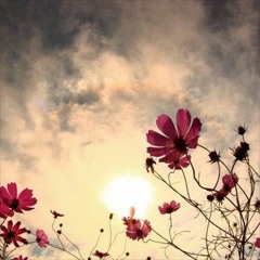 ~رقائق