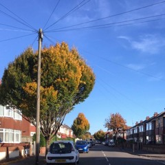 It's Always Sunny in Dorset