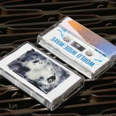 PUN COLLINS - Narcissist