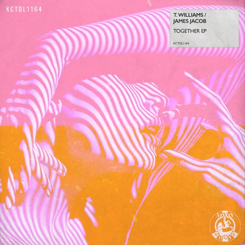 T.Williams & James Jacob - Work (Original Mix)