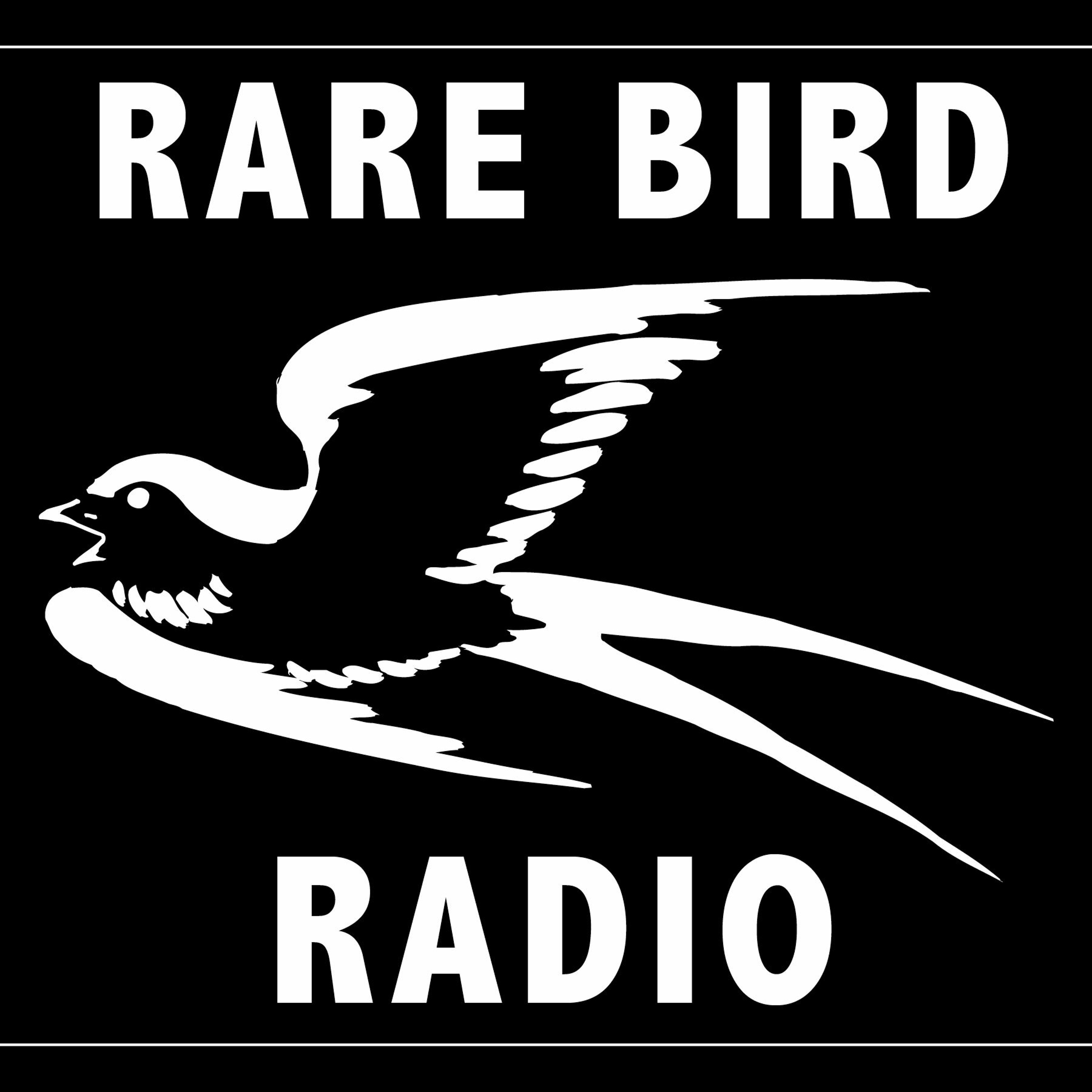 Rare Bird Radio