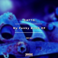 Gatto - My Funky Bitch (Eric Shans Stole The Money Remix)