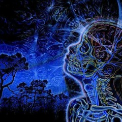 Acid Mental