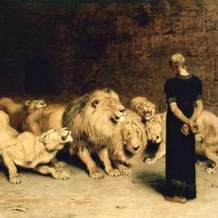 Tye'd N Tested - Lions Den