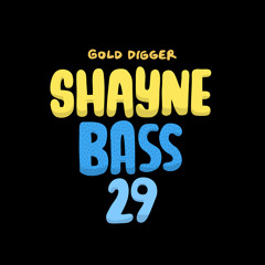 [GDR043] SHAYNE - Bass 29 (Original Mix)