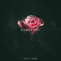 Somebody (CRT X NIBZ)