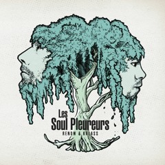 Les Soul Pleureurs - Moulin à Paroles (Remix)