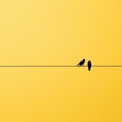 The Gift Of Knowing You (Original)