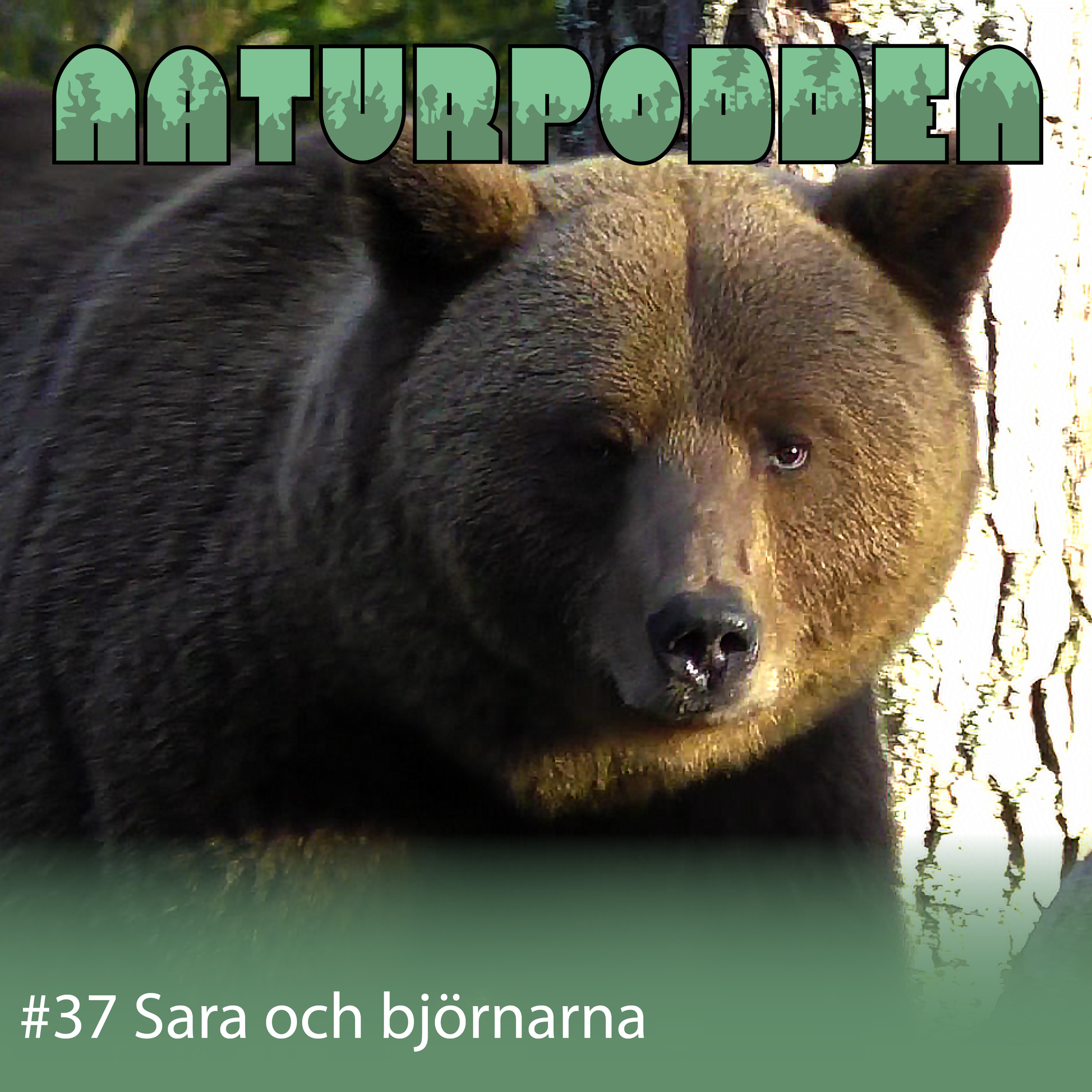 Naturpodden - Producerad av Biotopia