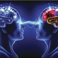 POINT - MIND RAPE G# 143  2017 FIX