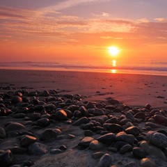 Sunwaves 21
