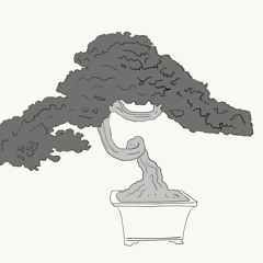 wun for the trees