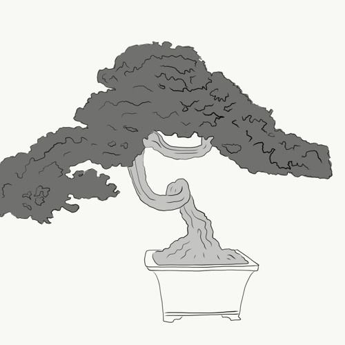 wun for the trees
