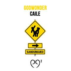 Godwonder - Caile  [Mastered by Munchi]