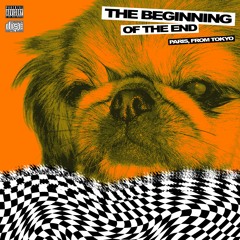 The Beginning